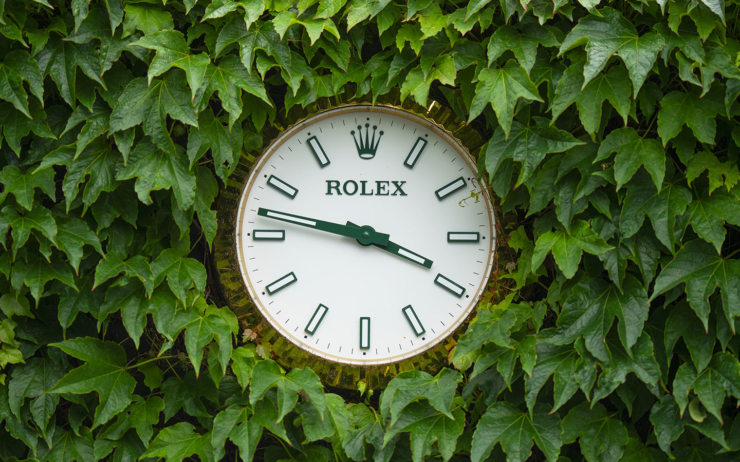 Rolex clock on ivy wall