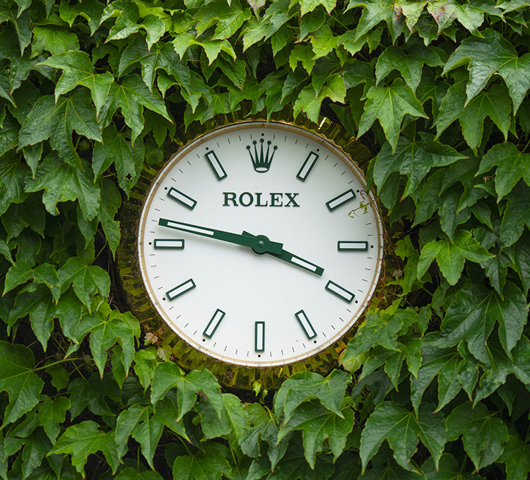 Rolex clock on ivy wall
