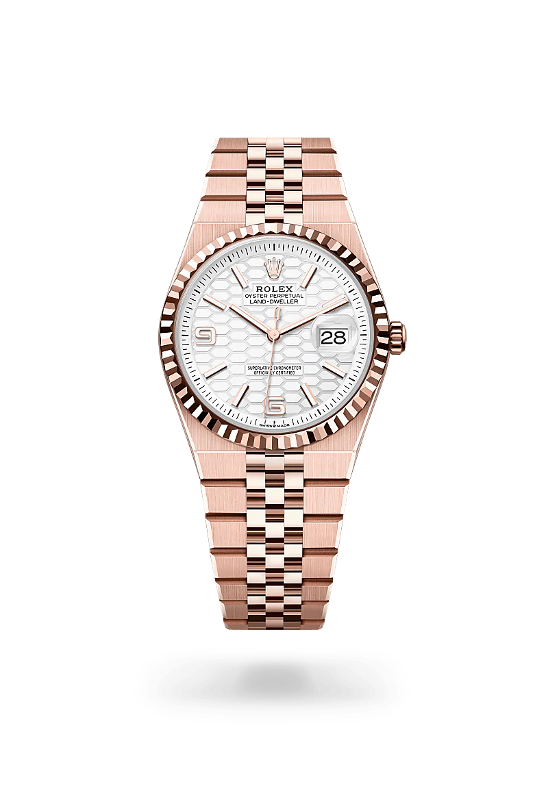 Rolex Land-Dweller 36 in 18 ct Everose gold, M127235-0001