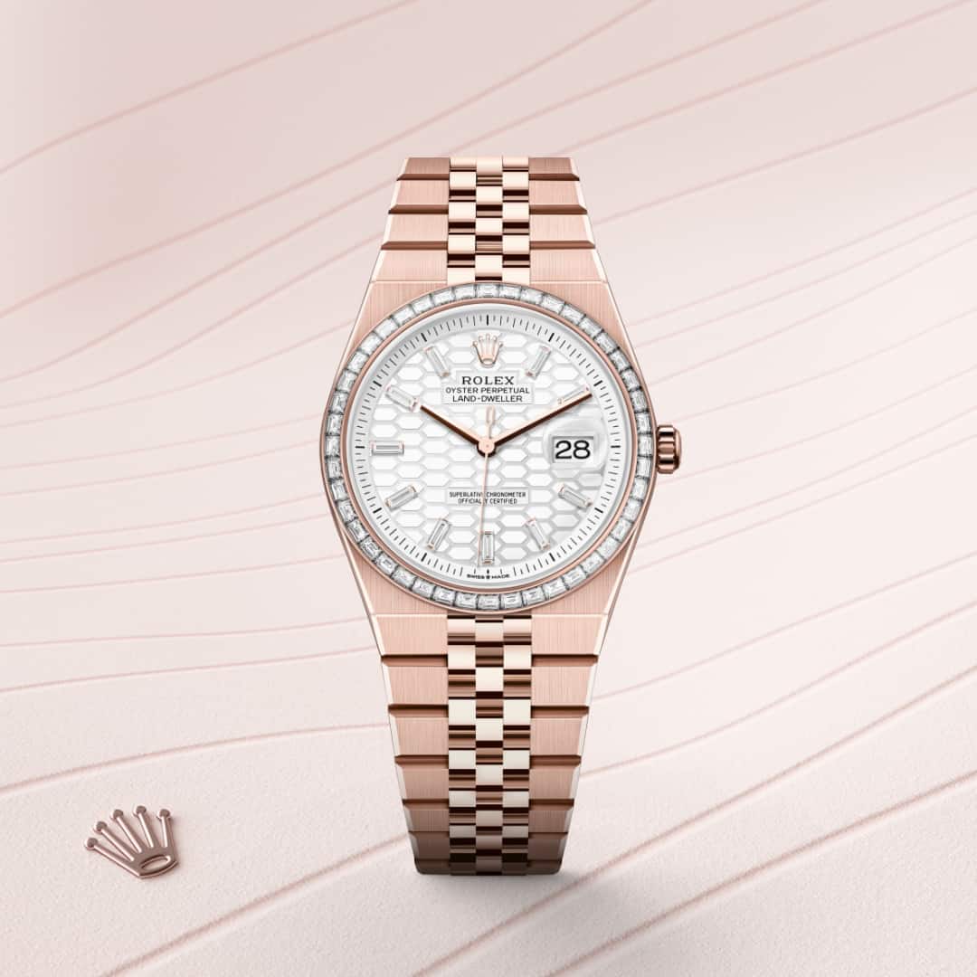 Rolex Land-Dweller in 18 kt Everose gold, M127285TBR-0002