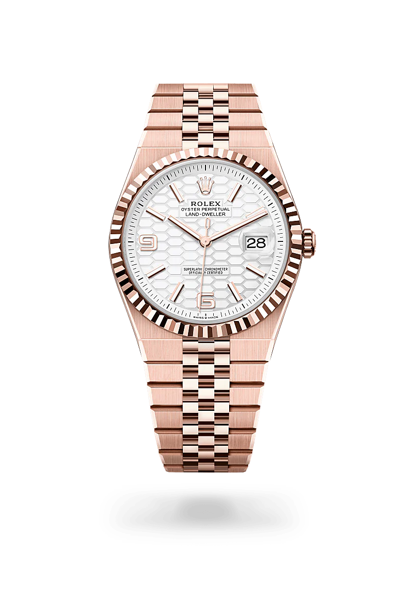 Rolex Land-Dweller 40 in 18 ct Everose gold, M127335-0001