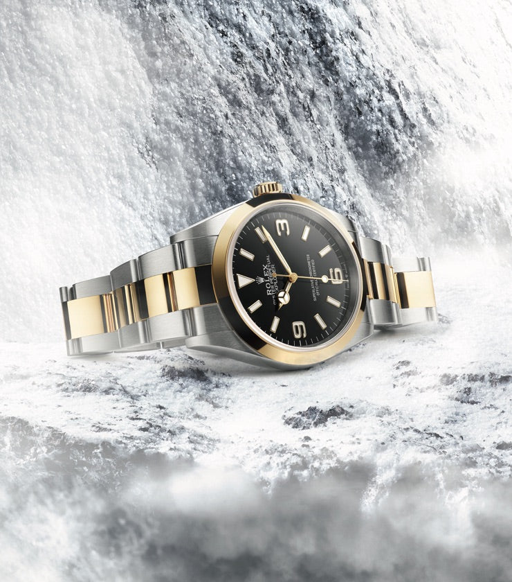 Rolex Explorer 36 in Oystersteel and Yellow Gold, m124273-0001, Ice - Fink's