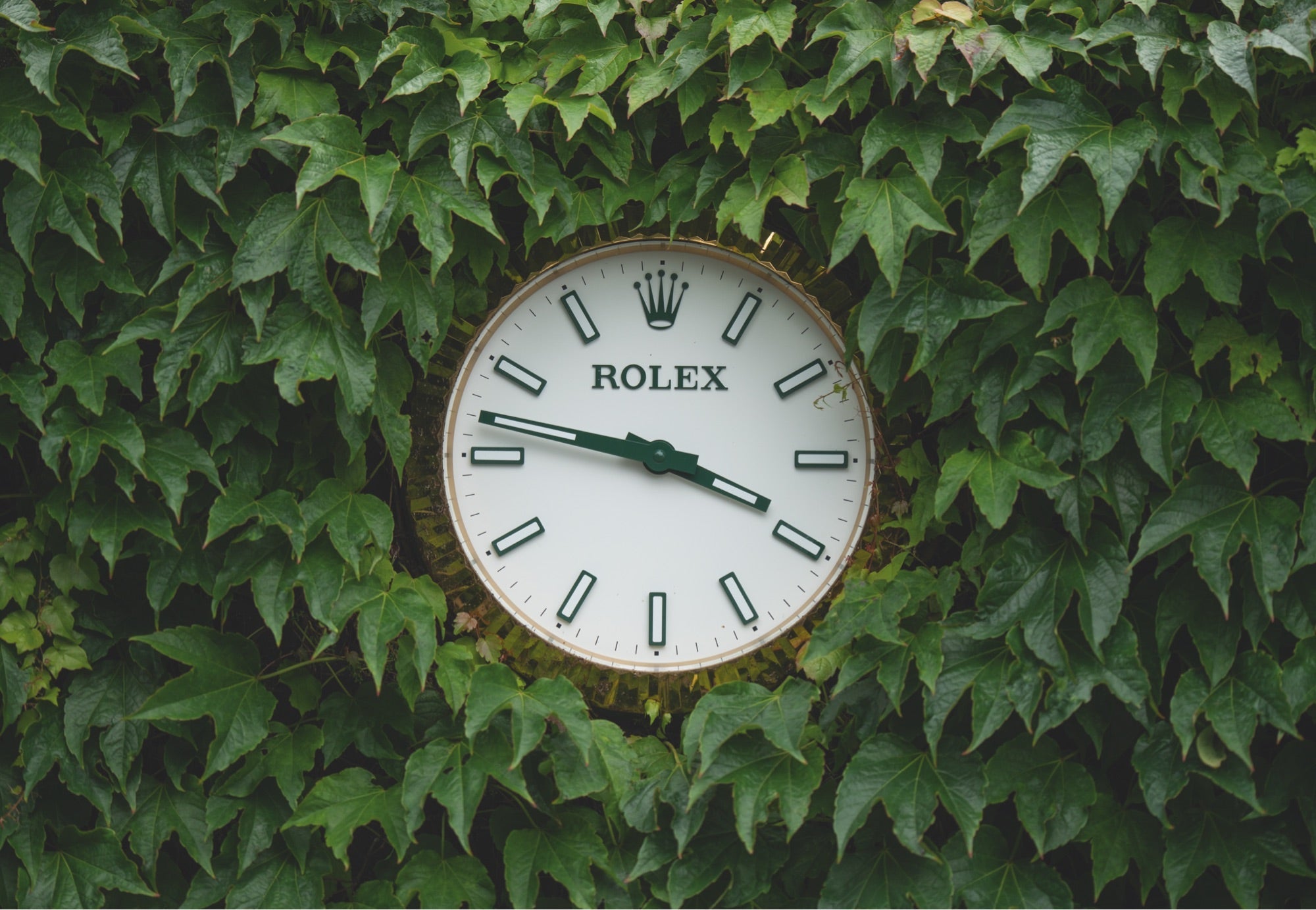Rolex at Wimbledon - Fink's Jewelers