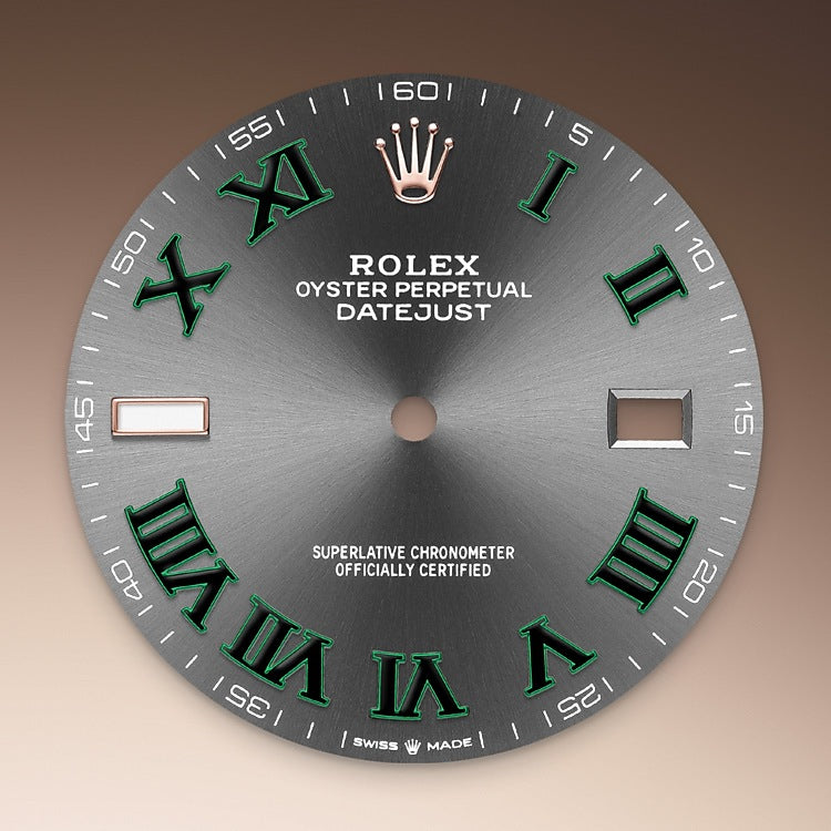 Slate Dial on Rolex Datejust 41 in Oystersteel and Everose Gold - M126331-0016 at Fink's Jewelers