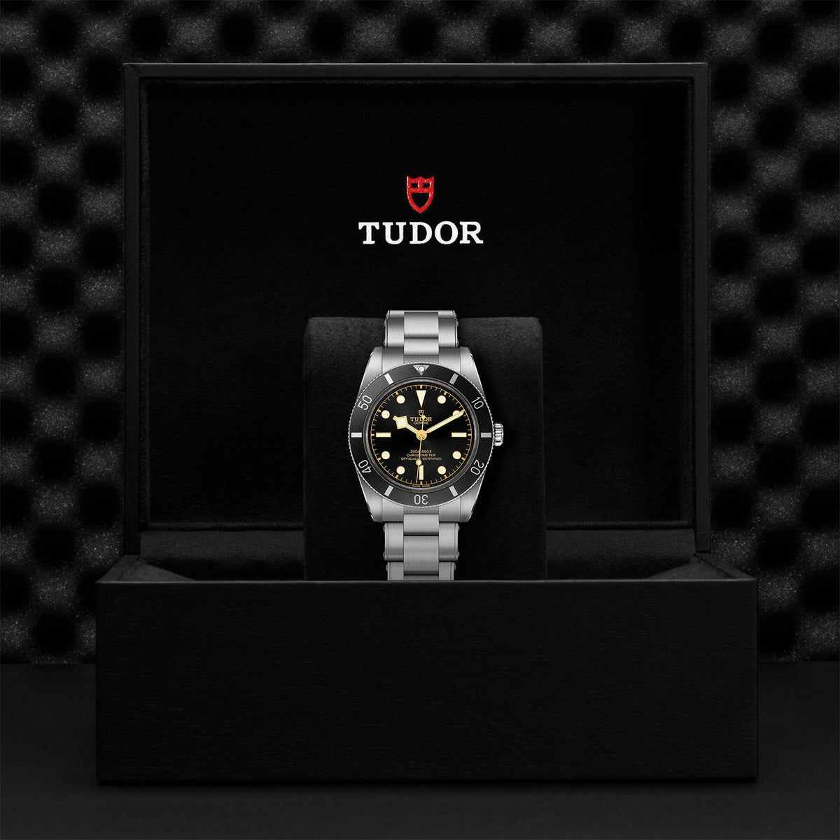 TUDOR Black Bay 54 Watch | M79000N-0001 | Fink's Jewelers