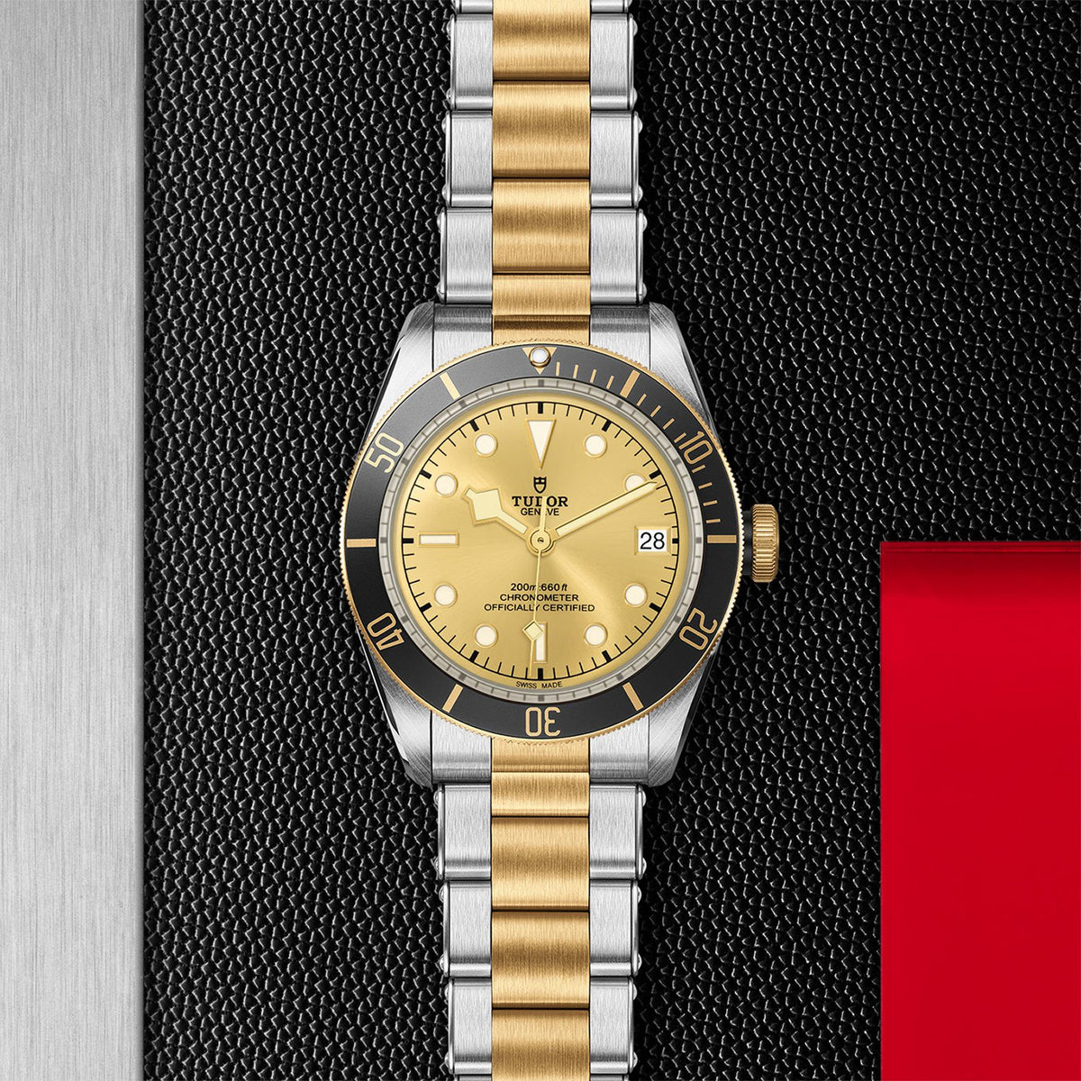 TUDOR Black Bay S&G Watch | M79733N-0004 | Fink's Jewelers