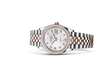 Datejust 36, Oyster, 36 mm, Oystersteel, Everose gold and diamonds Laying Down