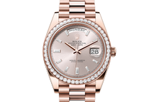 Day-Date 40, Oyster, 40 mm, Everose gold and diamonds Front Facing