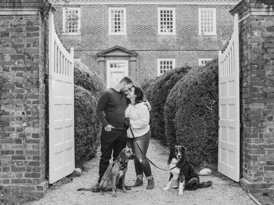 Forever at Fink's: Melanie and Brandon 's Engagement
