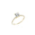 Load image into Gallery viewer, Fink&#39;s Exclusive 14K Yellow Gold Round Diamond Pave Shank Engagement Ring in .51ct