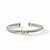 David Yurman NA Bracelet in Silver and 14-Karat Yellow Gold