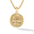 Load image into Gallery viewer, Life and Death Amulet Enhancer in Yellow Gold