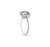 Fink's Exclusive Round Diamond Engagement Ring with Diamond Shank in Platinum