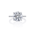 Fink's Exclusive Round Diamond Engagement Ring with Diamond Shank in Platinum