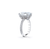 Fink's Exclusive Cushion Diamond Engagement Ring with Diamond Shank in Platinum