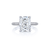 Fink's Exclusive Cushion Diamond Engagement Ring with Diamond Shank in Platinum