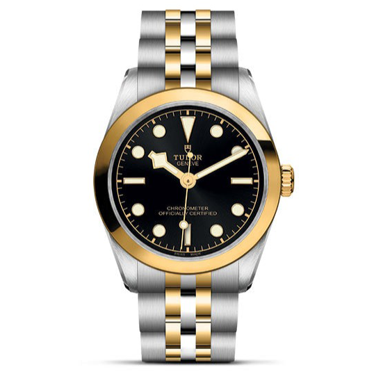 TUDOR Black Bay 31 S&G Watch - M79603-0001 at Fink's Jewelers
