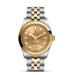 TUDOR Black Bay 31 S&G Watch -  M79603-0005 at Fink's Jewelers