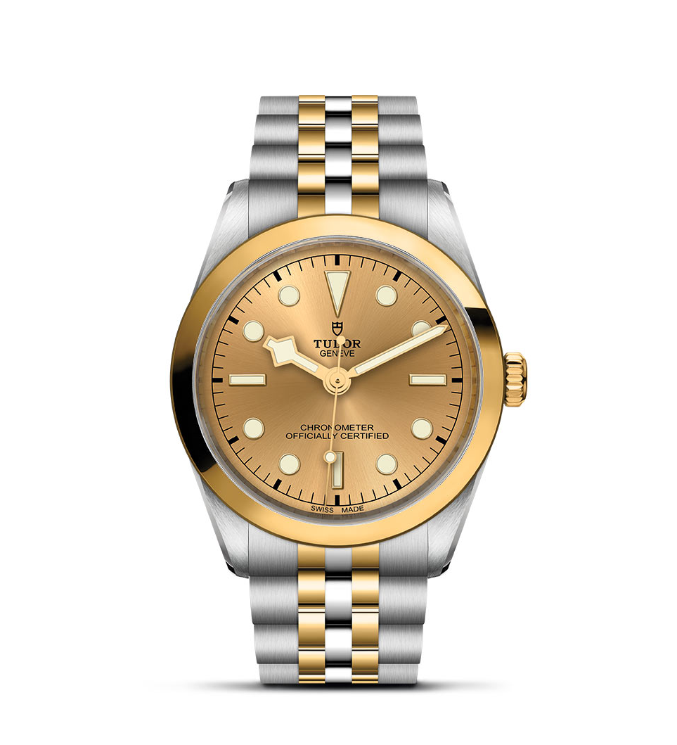 TUDOR Black Bay 36 S&G Watch - M79643-0005 at Fink's Jewelers
