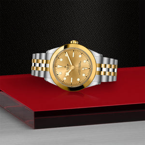 Tudor Black Bay 39 S&G in Stainless Steel and Yellow Gold