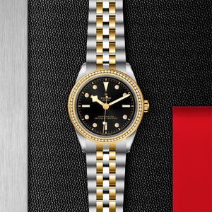 Black Bay 39 S&G