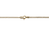 John Hardy Yellow Gold Curb Chain Necklace, 2.1mm