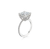 Fink's Exclusive Radiant Cut Engagement Ring with Diamond Shank in Platinum