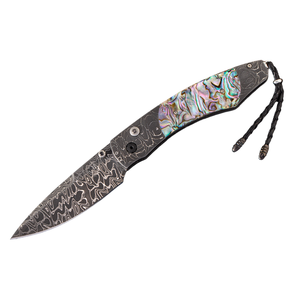 NS333511_grande.png?v=1720544797