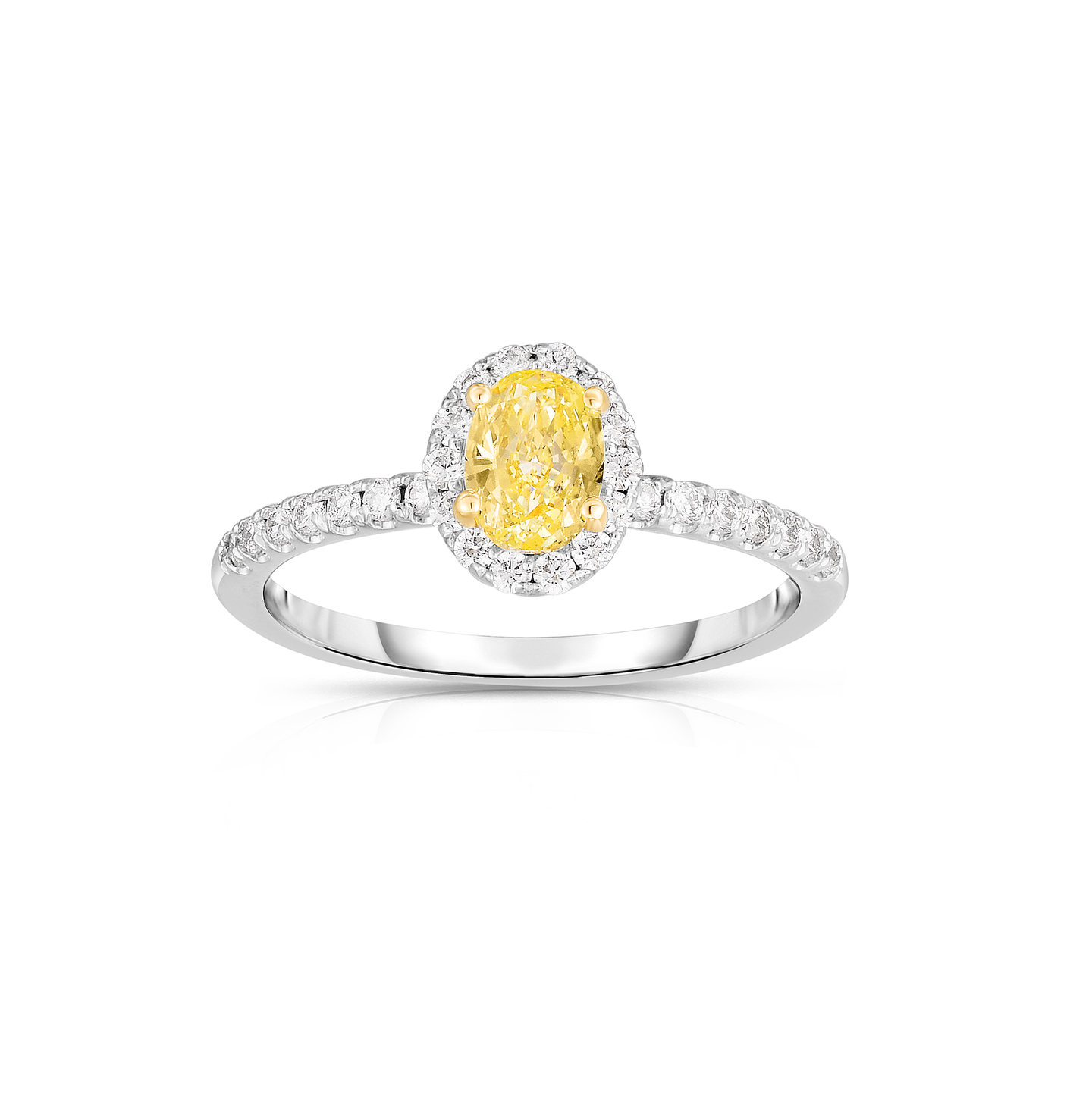 Sabel Collection Yellow Diamond and White Diamond Halo Ring