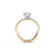 The Studio Collection Round Diamond Engagement Ring with Diamond Shank in Platinum and Yellow Gold