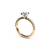 The Studio Collection Round Diamond Engagement Ring with Diamond Shank in Platinum and Yellow Gold