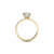 The Studio Collection Round Diamond Engagement Ring with Hidden Halo in Yellow Gold