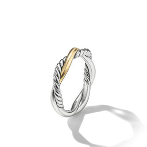 Petite Infinity Band Ring in Sterling Silver with 14K Yellow Gold, Size 5