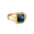 Streamline Signet Ring in 18K Yellow Gold with Pietersite, 14mm