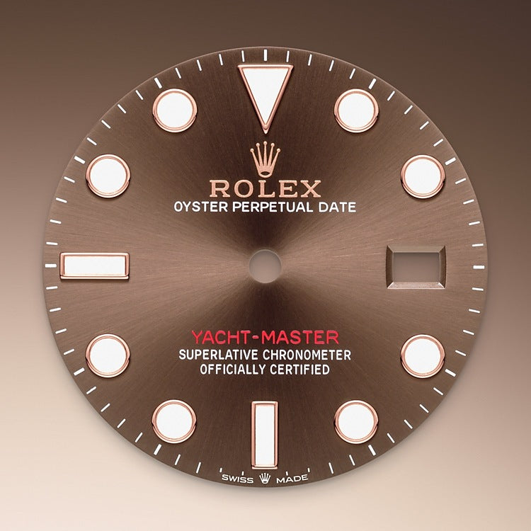 Chocolate Dial on Rolex Yacht-Master 40 in Oystersteel and Everose Gold - M126621-0001 at Fink's Jewelers