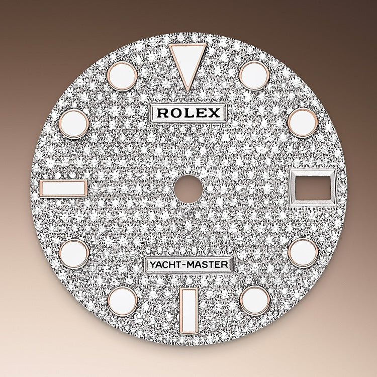 Diamond-paved Dial on Rolex Yacht-Master 37 in Everose Gold - M268655-0019 at Fink's Jewelers