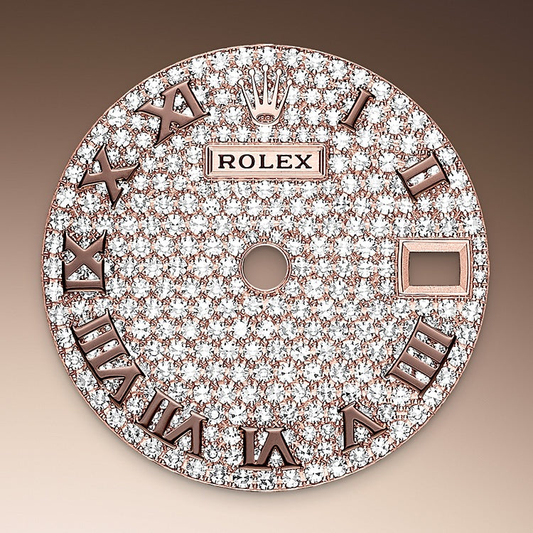 Diamond-paved Dial on Rolex Lady-Datejust in Everose Gold and Diamonds - M279135RBR-0021 at Fink's Jewelers