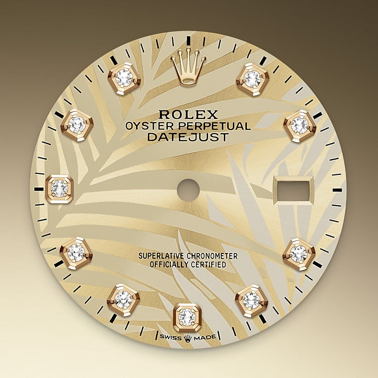Golden Dial with Palm Motif on Rolex Datejust 36 in Oystersteel and Yellow Gold - M126203-0043 at Fink's Jewelers