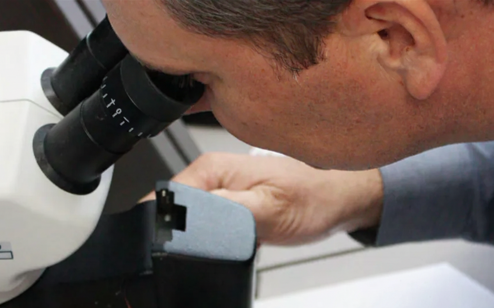 The Fink's Difference:<br>Expert-Inspected Diamonds