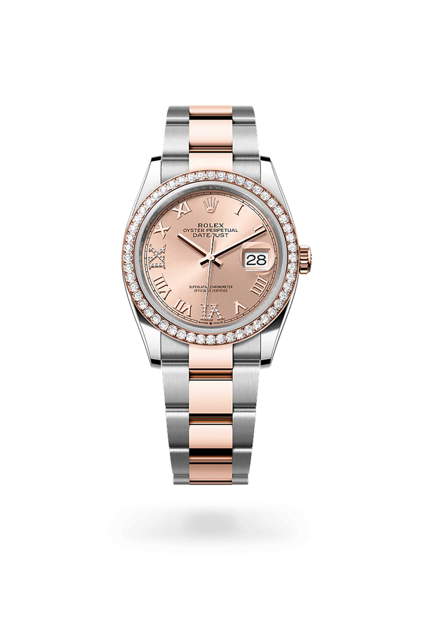 Rolex Datejust 36 in Oystersteel, Everose Gold, and Diamonds, m126281rbr-0016 Upright with Shadow - Fink's Jewelers