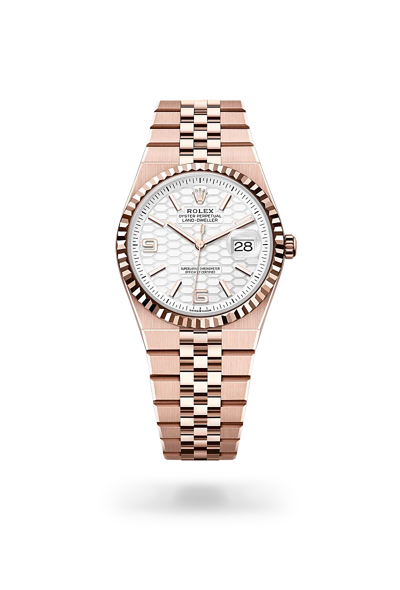  Land-Dweller 36 with Oyster, 36 mm, Everose gold