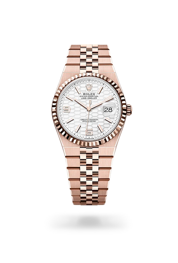  Land-Dweller 36 with Oyster, 36 mm, Everose gold