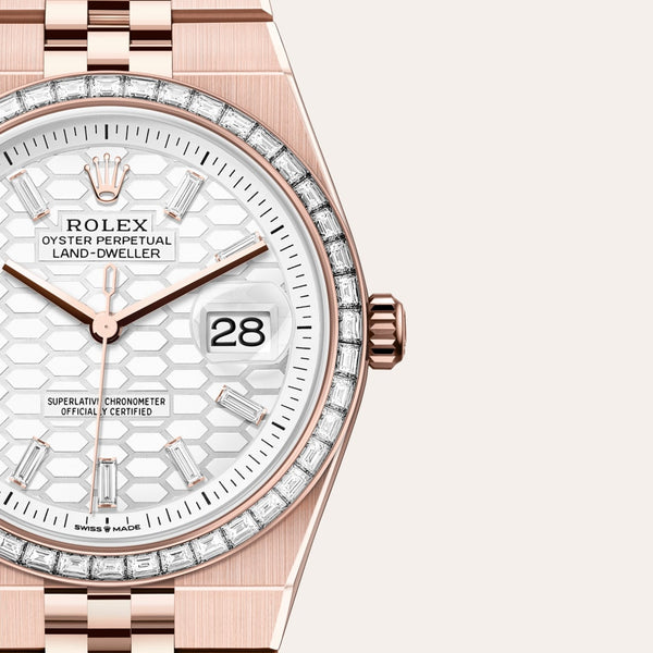 ぺの Rolex Land-Dweller in 18 kt Everose gold, M127285TBR-0002