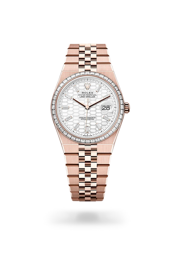  Land-Dweller 36 with Oyster, 36 mm, Everose gold and diamonds