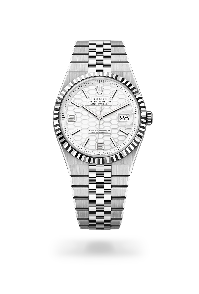  Land-Dweller 40 with Oyster, 40 mm, Oystersteel and white gold