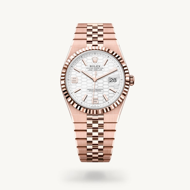 Rolex Land-Dweller 40 in 18 ct Everose gold, M127335-0001