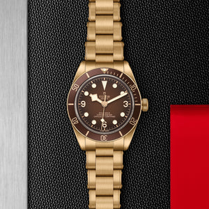 TUDOR Black Bay 58 Bronze - Boutique Edition Watch with Brown Dial - M79012M at Fink's Jewelers
