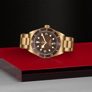 TUDOR Black Bay 58 Bronze - Boutique Edition Watch on Side - M79012M at Fink's Jewelers