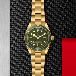 TUDOR Black Bay Fifty-Eight 18K Yellow Gold Watch - M79018V at Fink's Jewelers