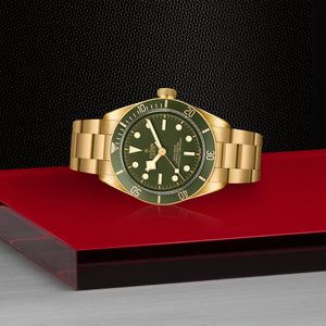 TUDOR Black Bay Fifty-Eight 18K Watch on Side - M79018V at Fink's Jewelers
